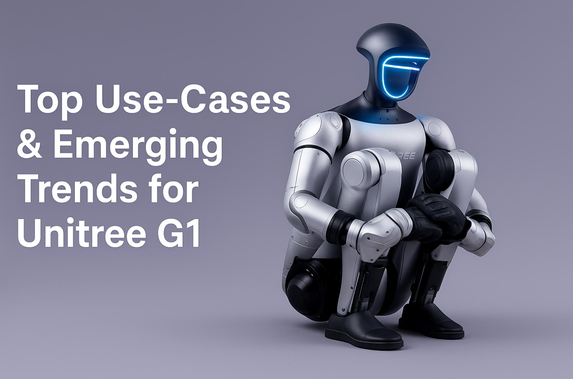 2. Сustom software for unitree G1.jpg
