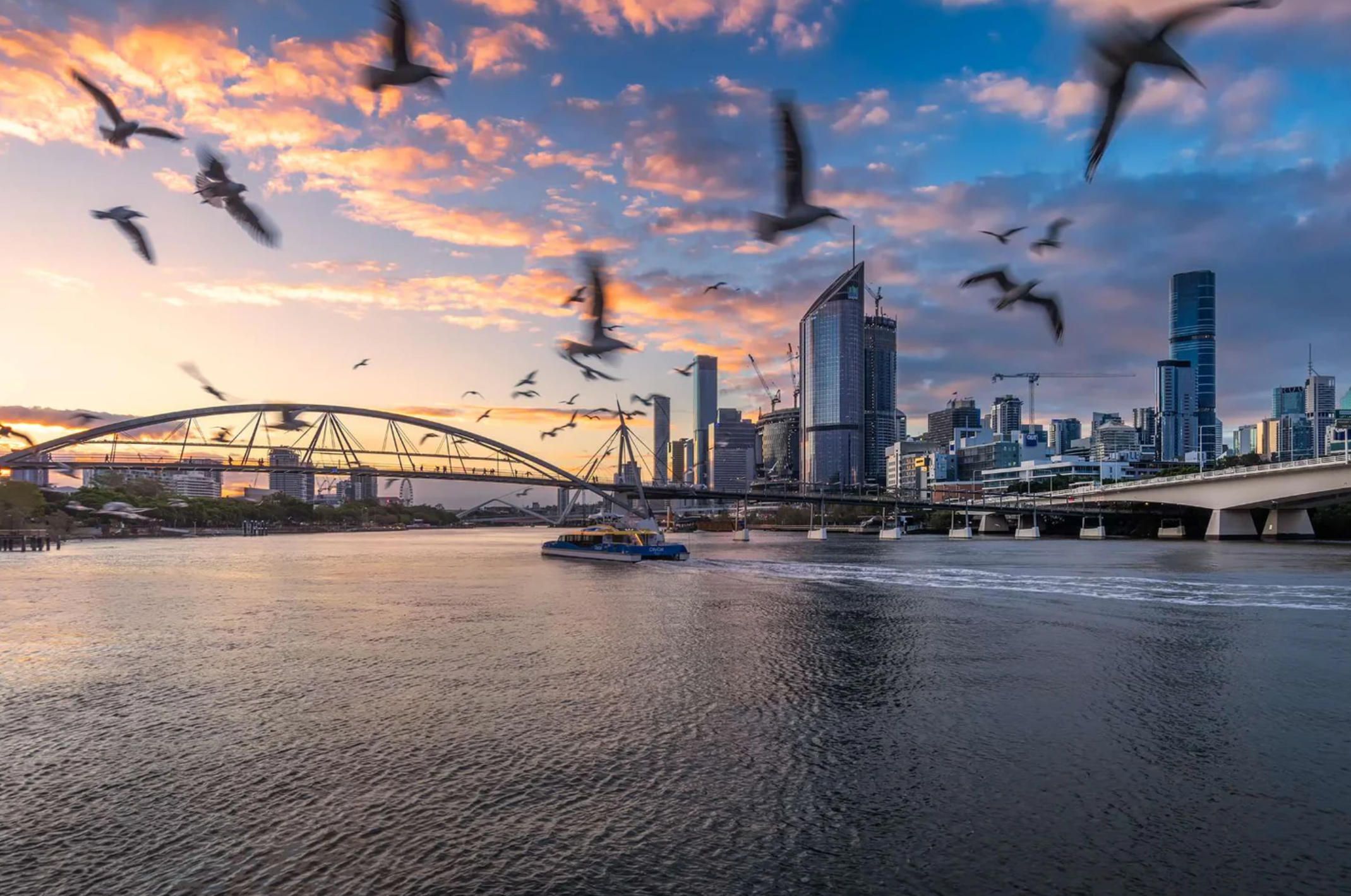 2. brisbane-taxi-app-urban-transport.jpg