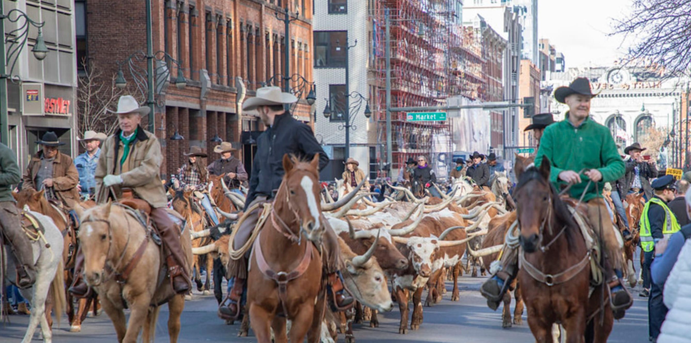 2. national-western-stock-show-livestock-event-denver.jpg