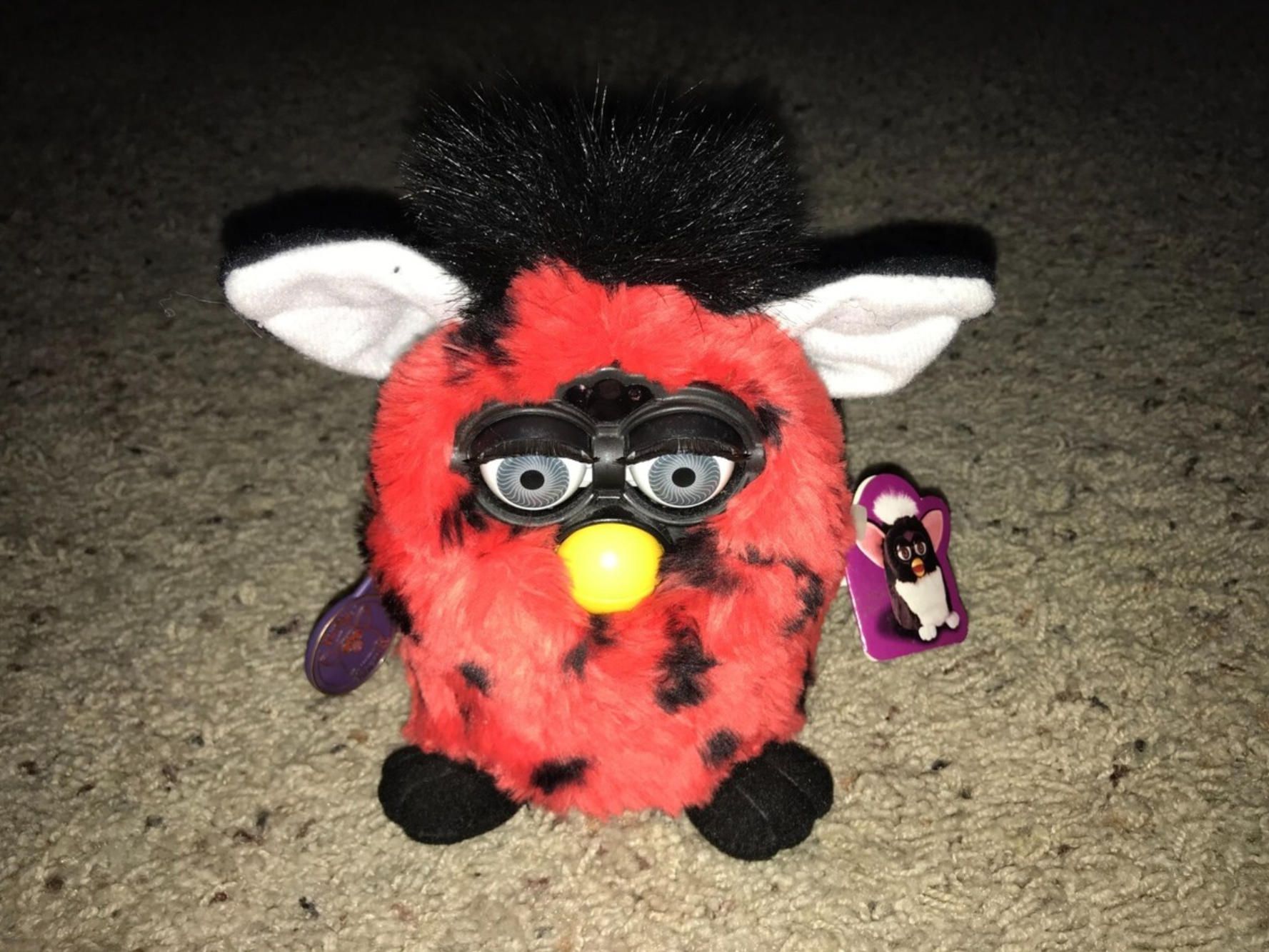 5. companion robot software development.jpg