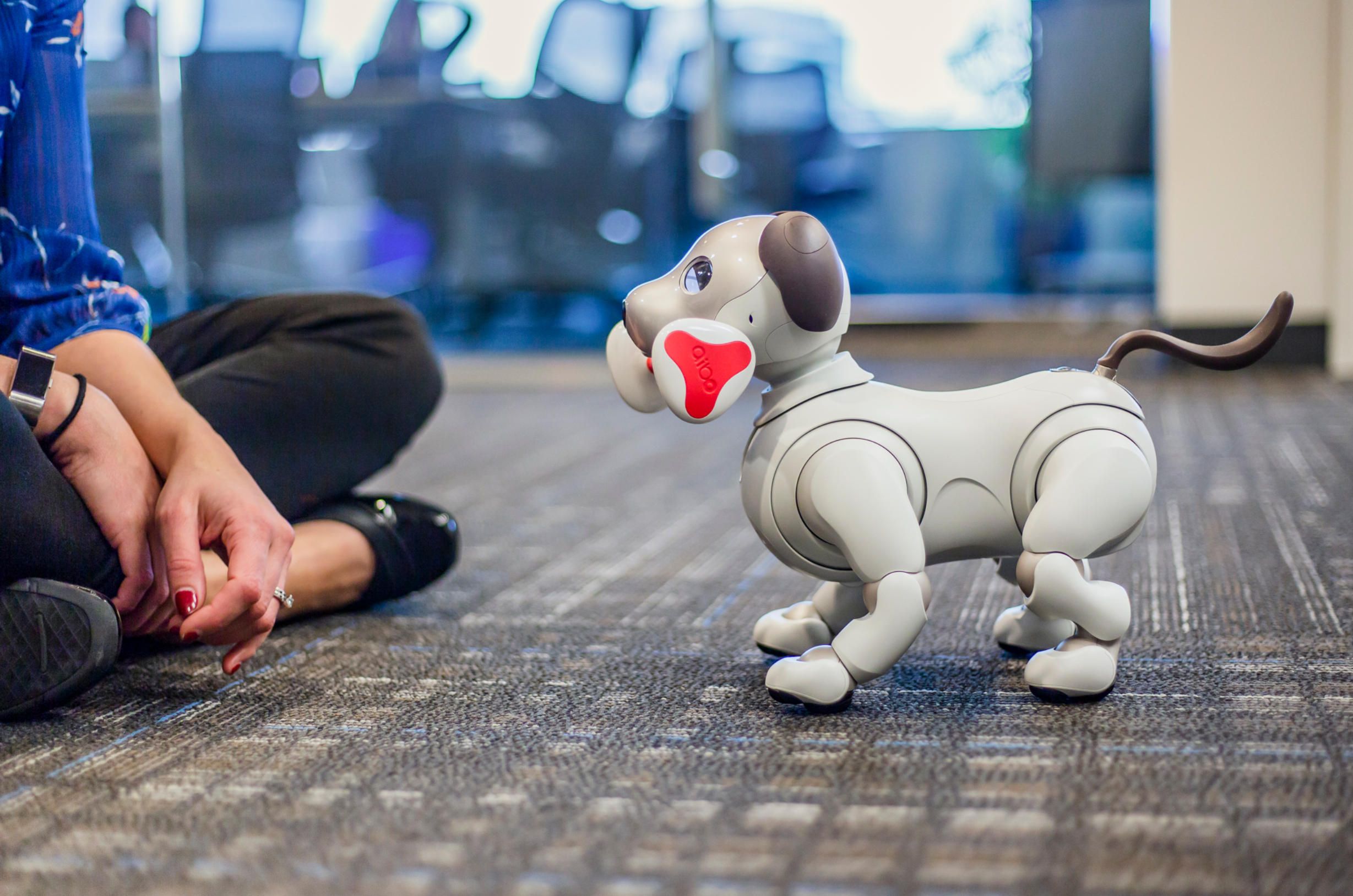 6. sony-aibo-robot-dog-home-interaction.jpg