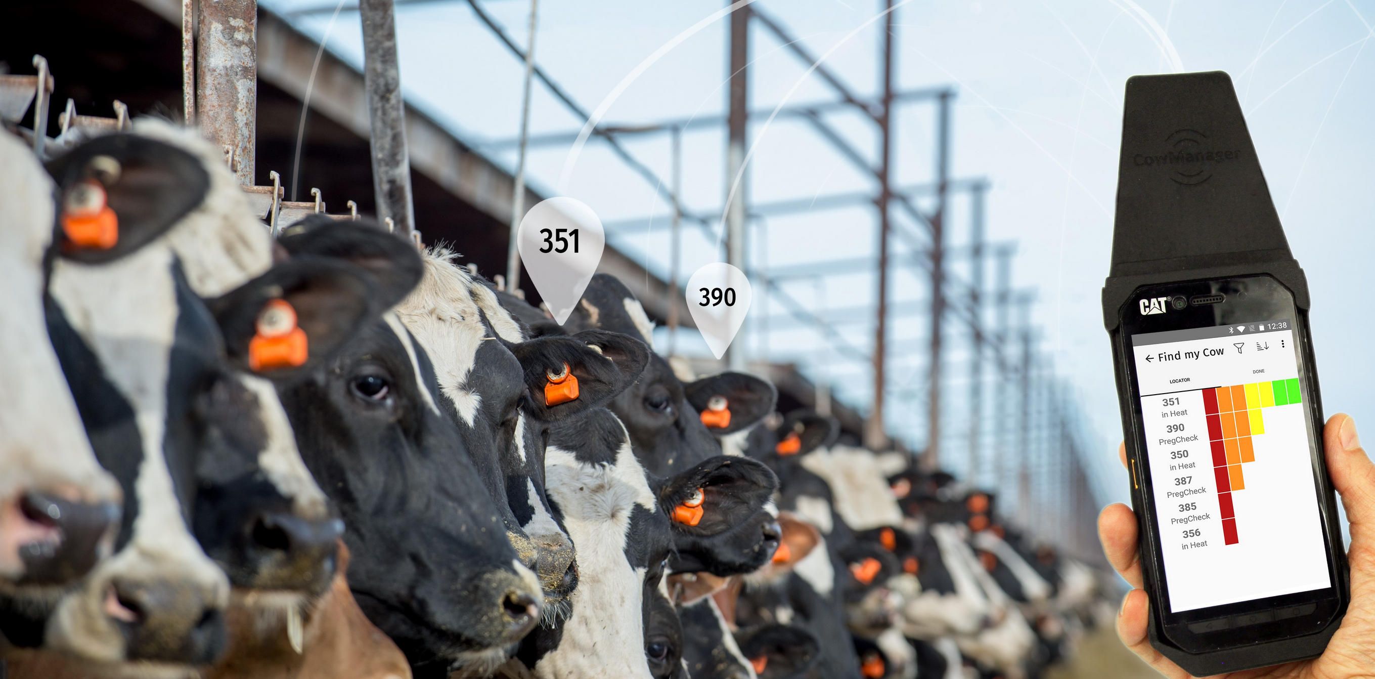 CowManager-dairy-cow-ear-sensor-tag.jpg