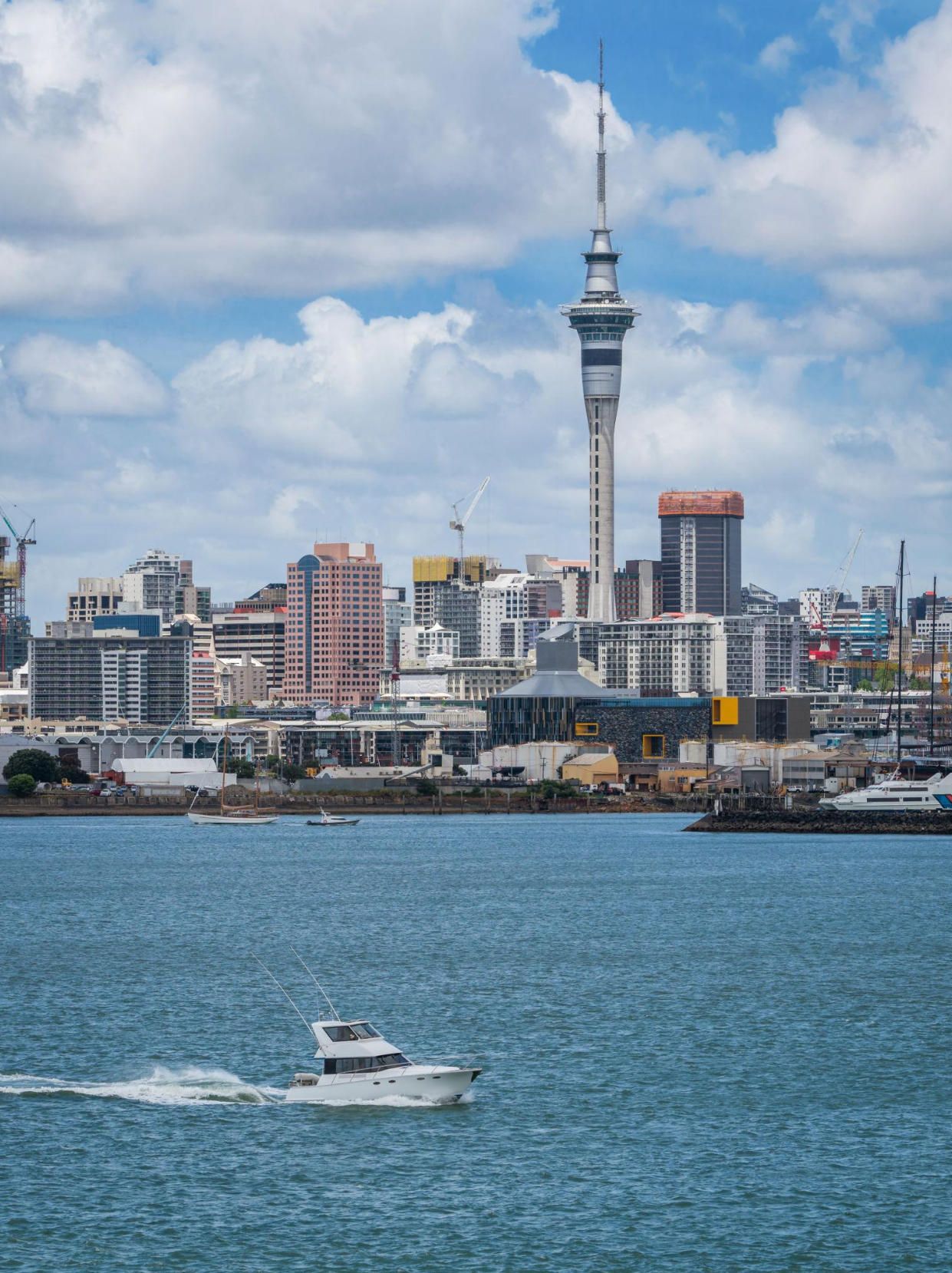 auckland-tech-hub-skyline.jpg