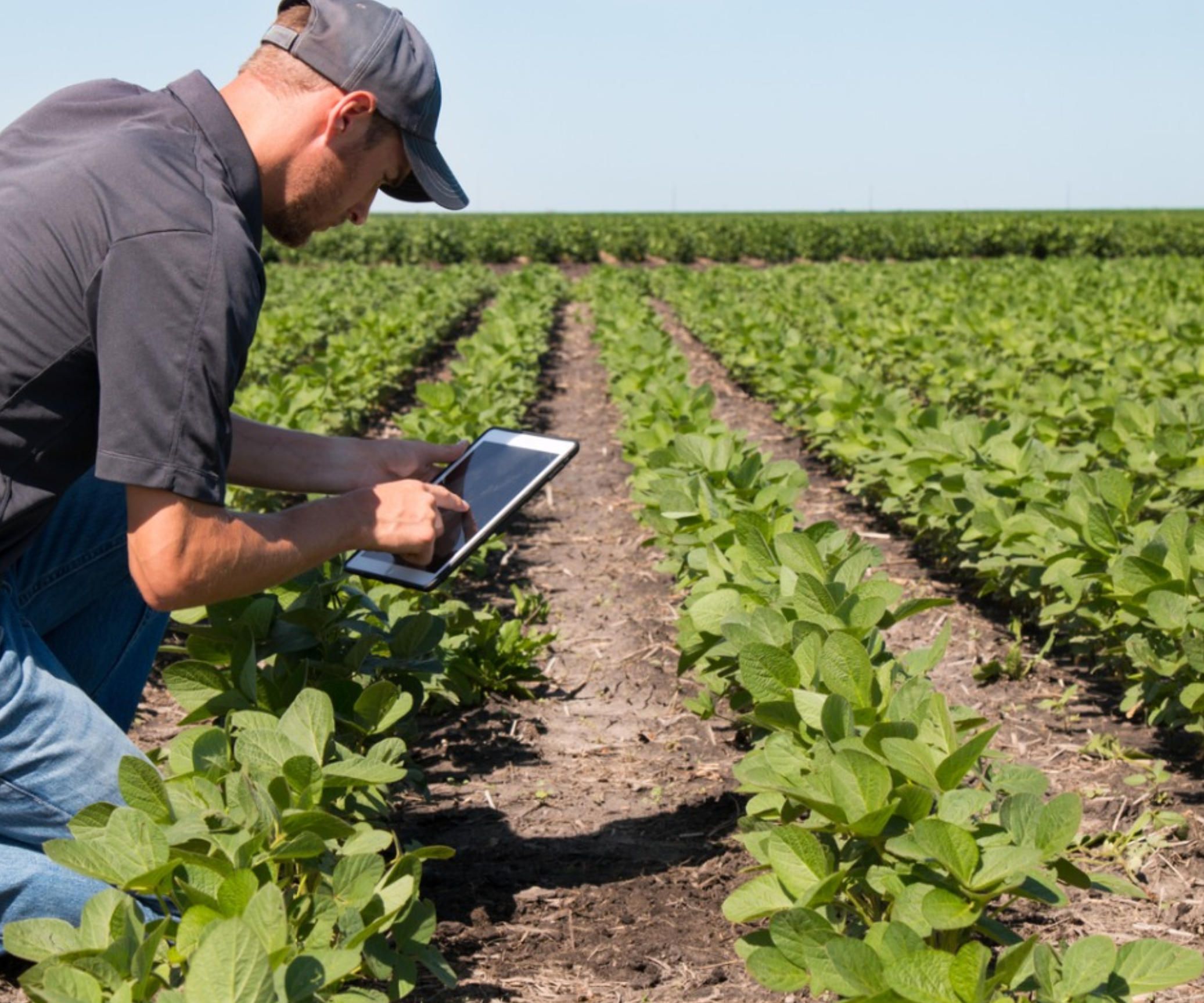 farm-management-software-tablet-field.jpg