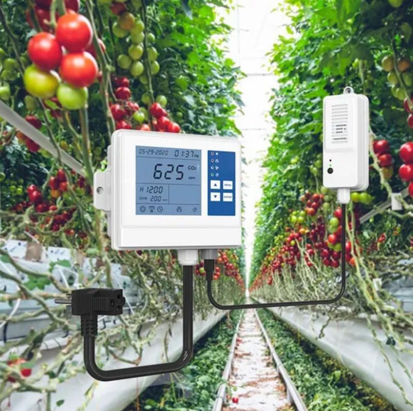 iot-controlled-greenhouse-saudi-farming.jpg