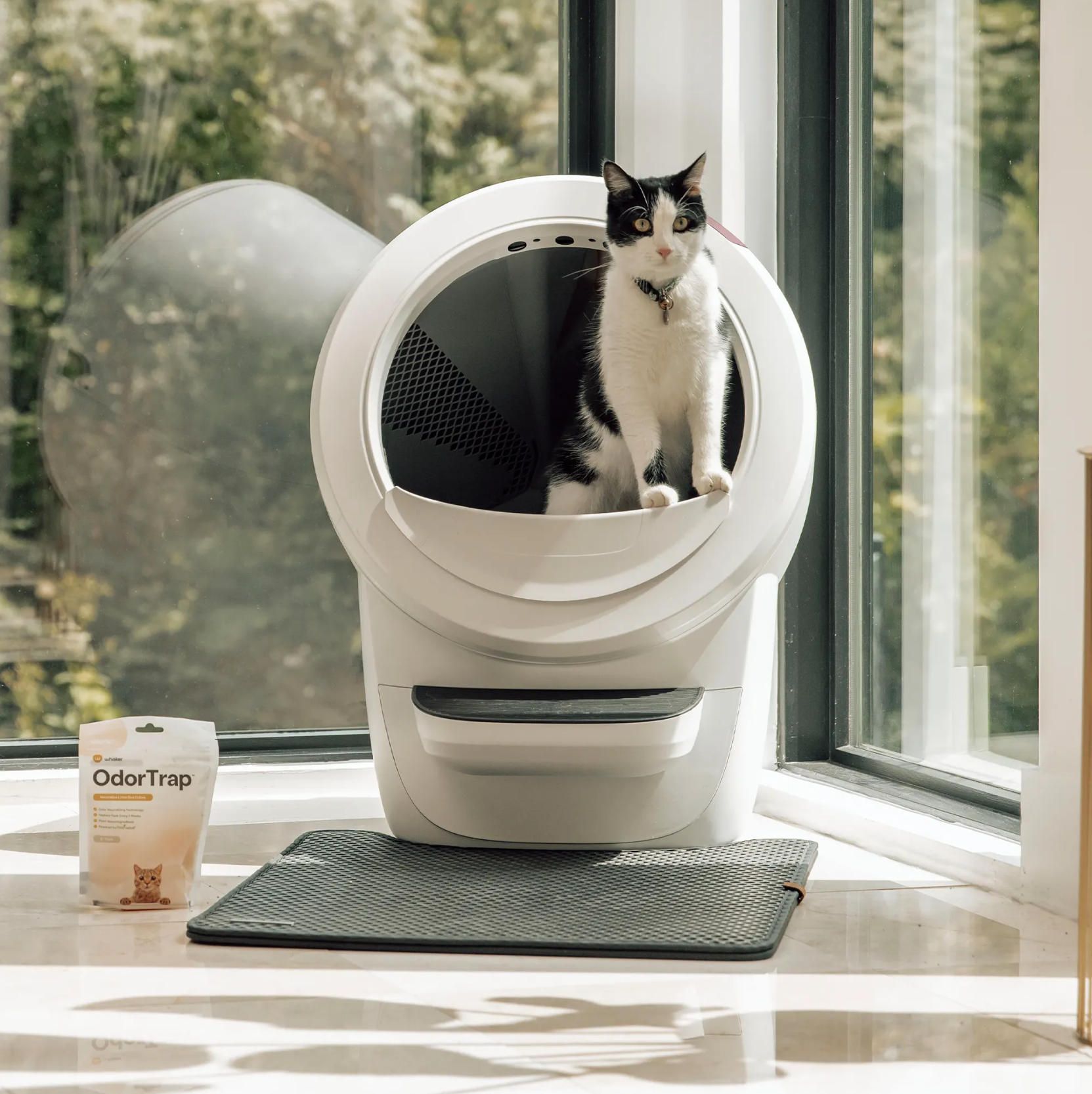 litter-robot-4-living-room-setup.jpg