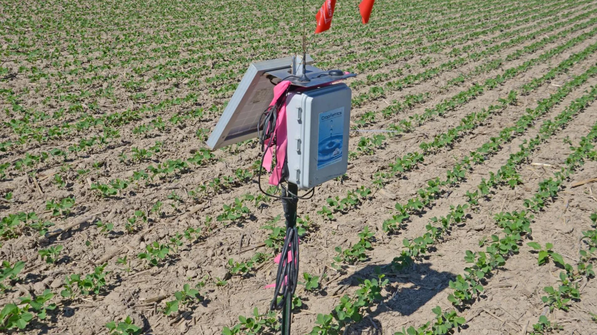 soil-moisture-sensor-in-field.jpg