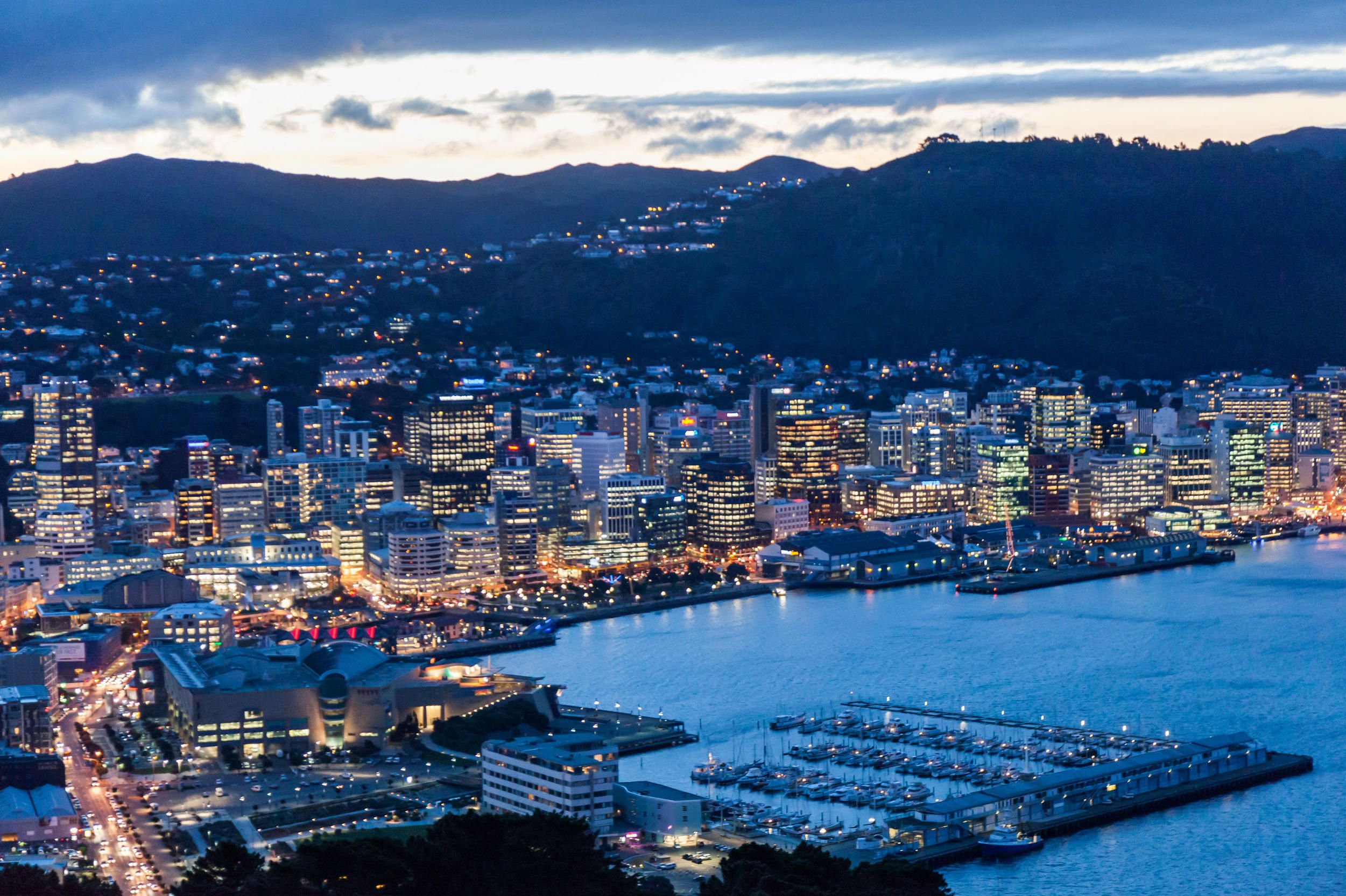 wellington-new-zealand-city-skyline-app-development-hub.jpg